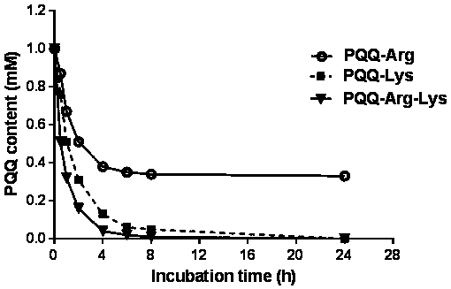 Method for researching reaction behavior of PQQ (Pyrroloquinoline quinone), and Lys (Lysine) and Arg (Arginine)