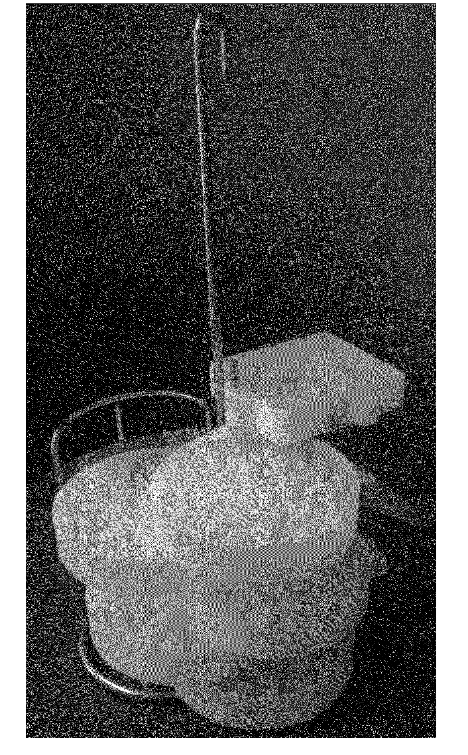 Biological sample vitrification carrier and usage thereof