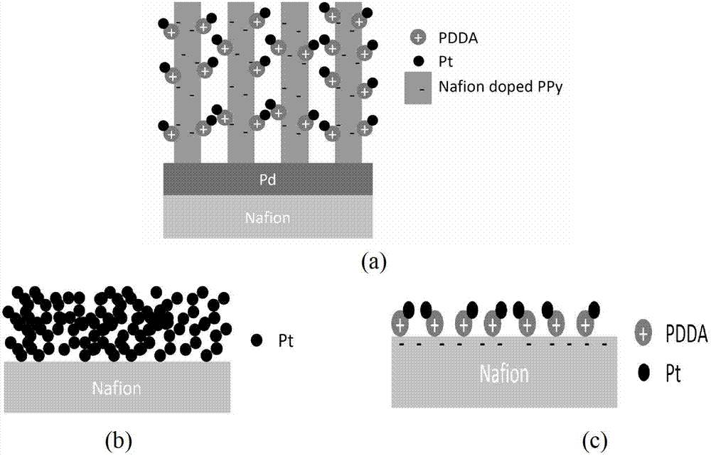 Novel ordering membrane electrode and preparation method and application thereof