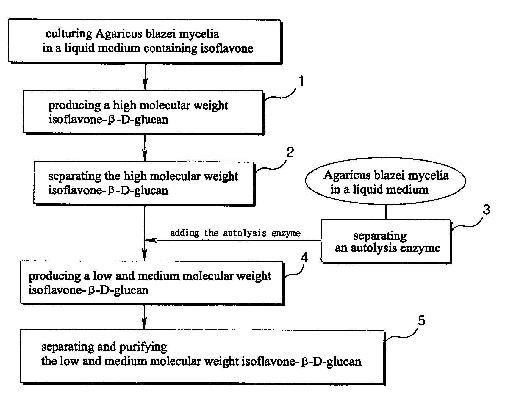 Isoflavone-beta-D-glucan produced by Agaricus blazei in the submerged liquid culture and method of producing same