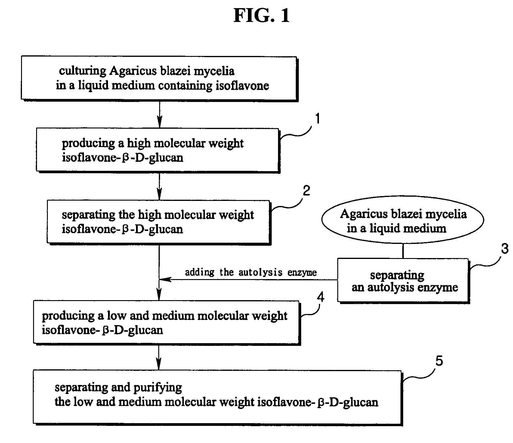 Isoflavone-beta-D-glucan produced by Agaricus blazei in the submerged liquid culture and method of producing same