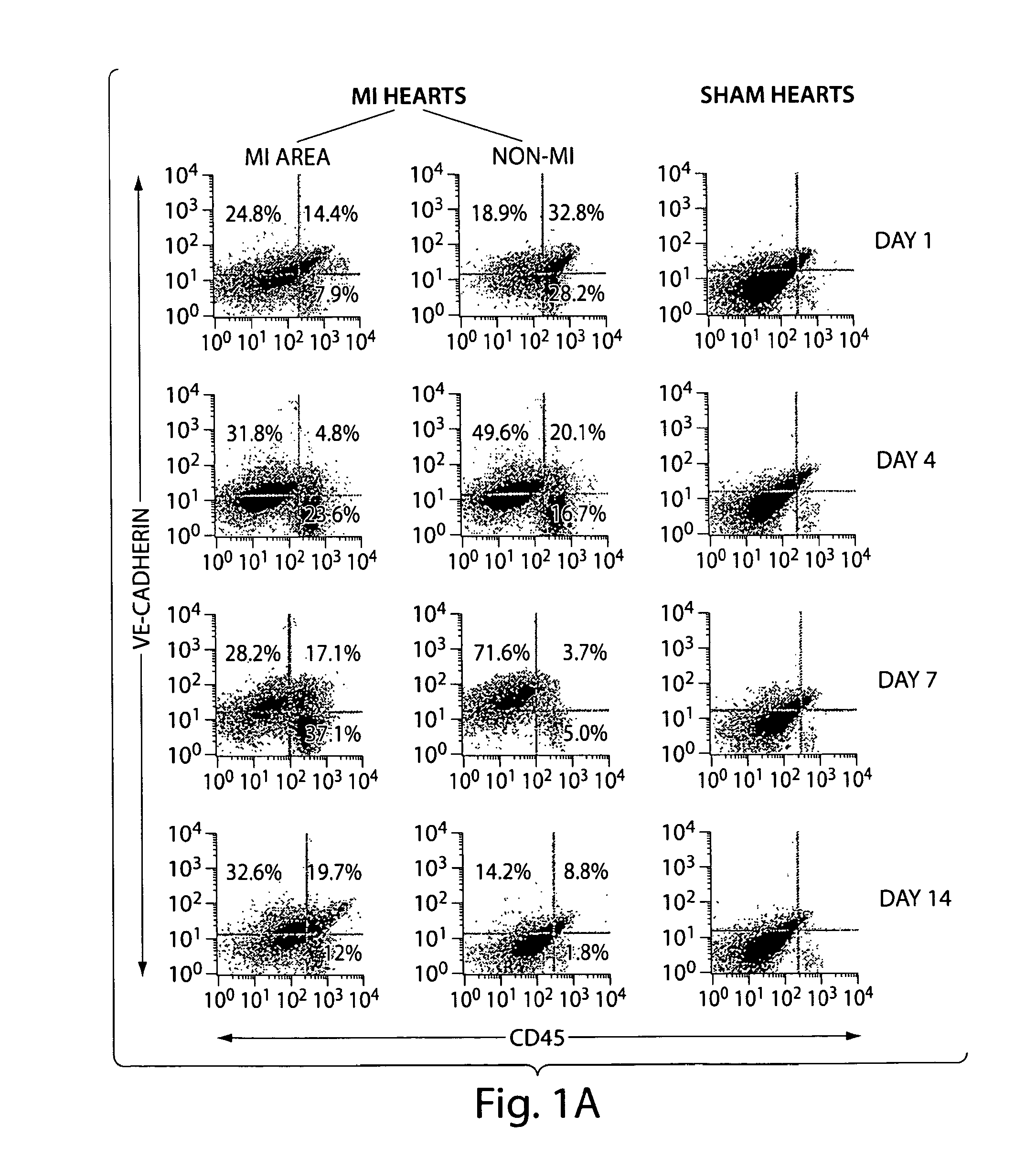 Dendritic cell modulation in post-ischemic wounds