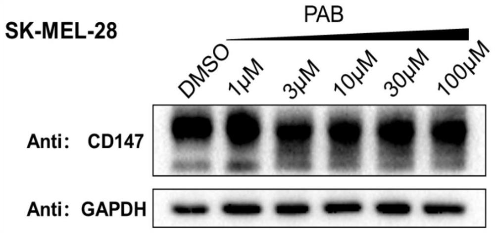 Bifunctional organic compound and its preparation method and application