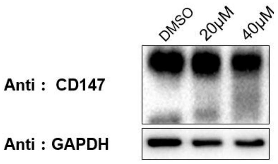 Bifunctional organic compound and its preparation method and application