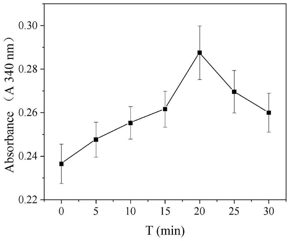 Method for preparing cofactor by coupling leucine dehydrogenase with photoelectrocatalysis