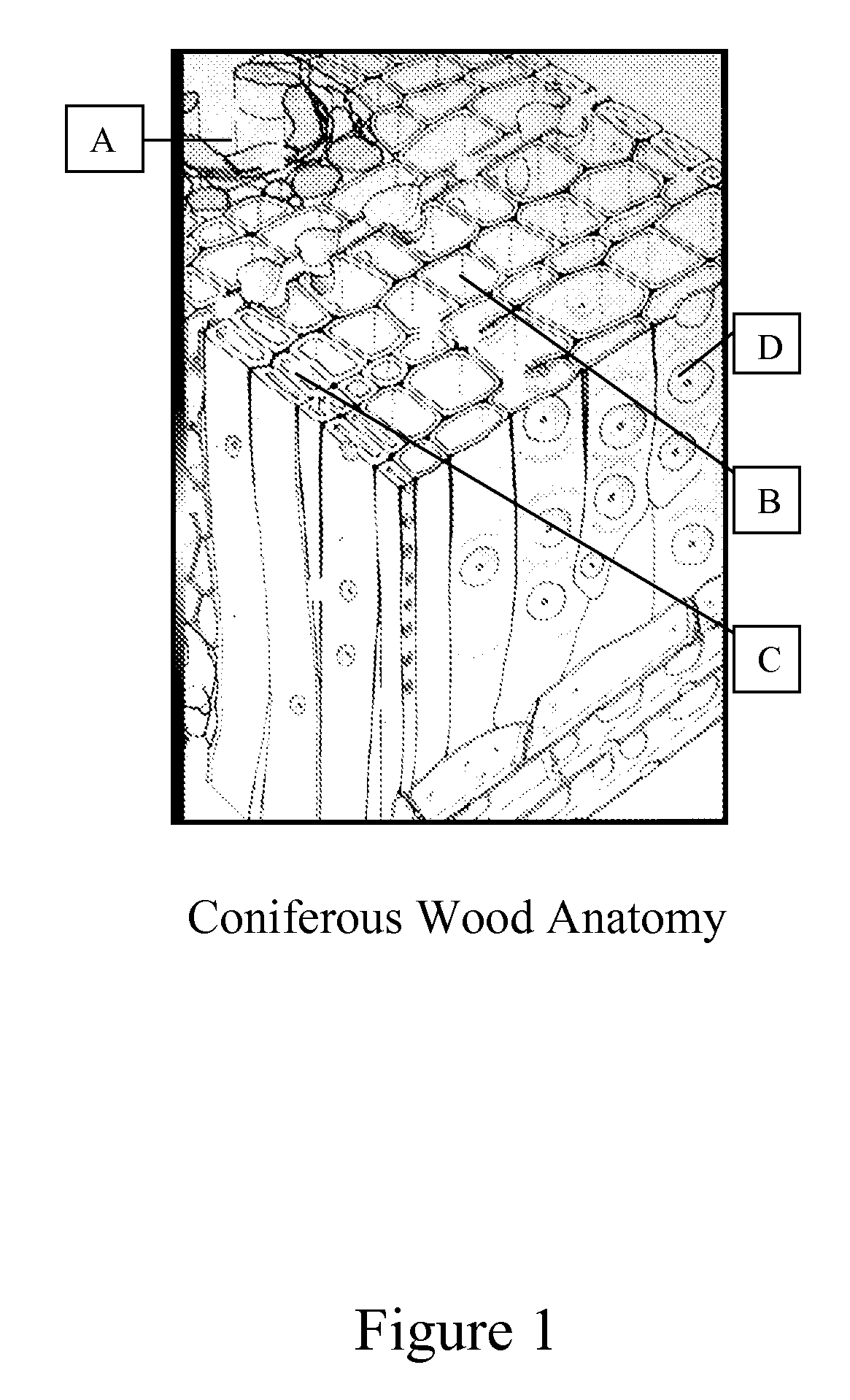 Composition And Process For Coloring Wood