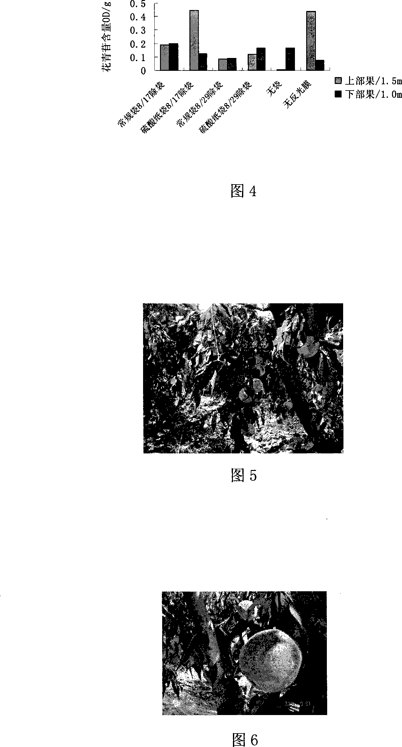 Method for fruits biological freezing point preservation and the storehouse