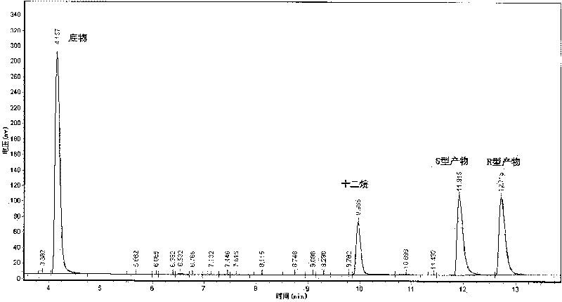 Trichoderma asperellum and application thereof in synthesizing (R)-[3,5-dual (trifluoromethyl) phenyl] ethanol