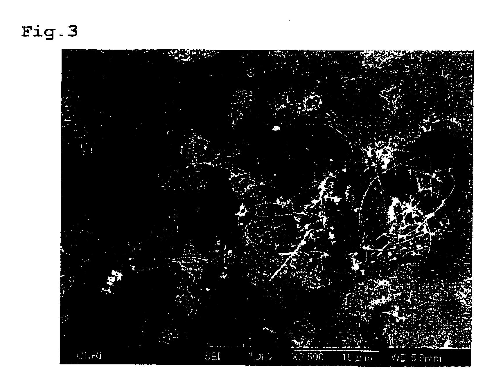 Carbon Fibrous Conjunct and Composite Material Using Thereof