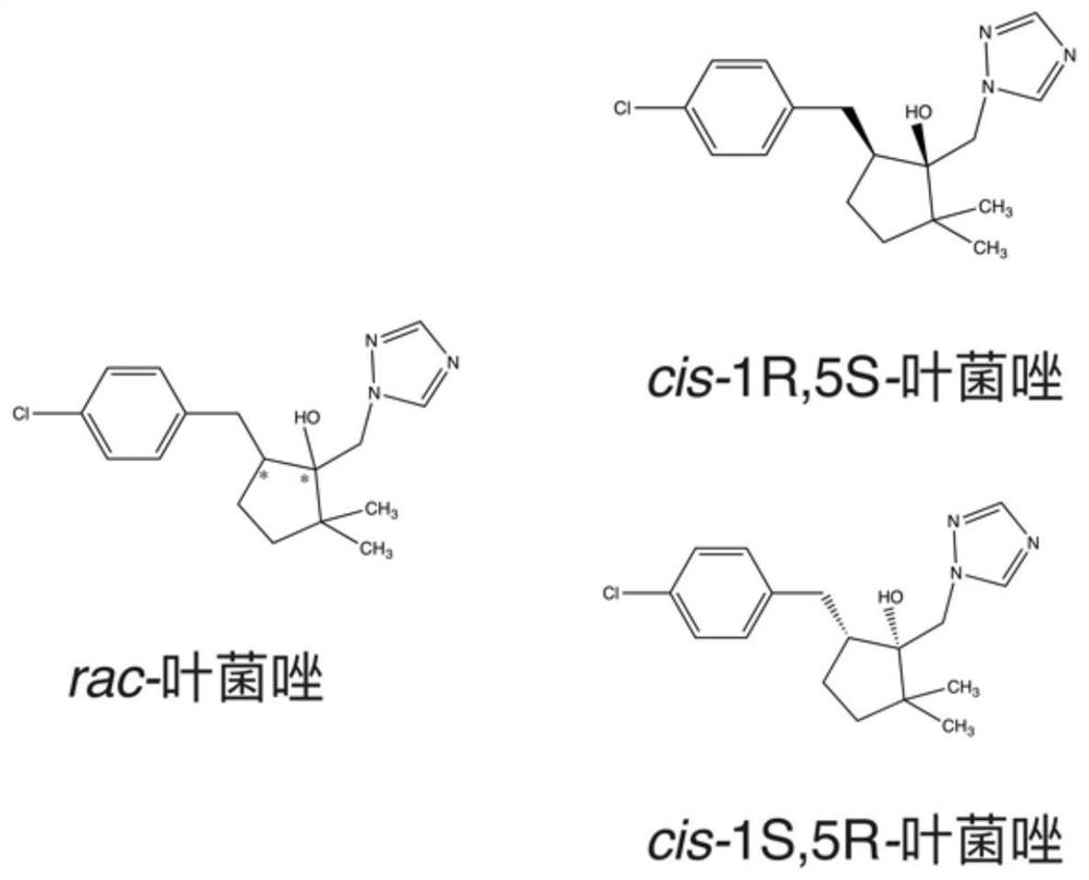 Application of cis-1S, 5R-metconazole in regulation of wheat growth