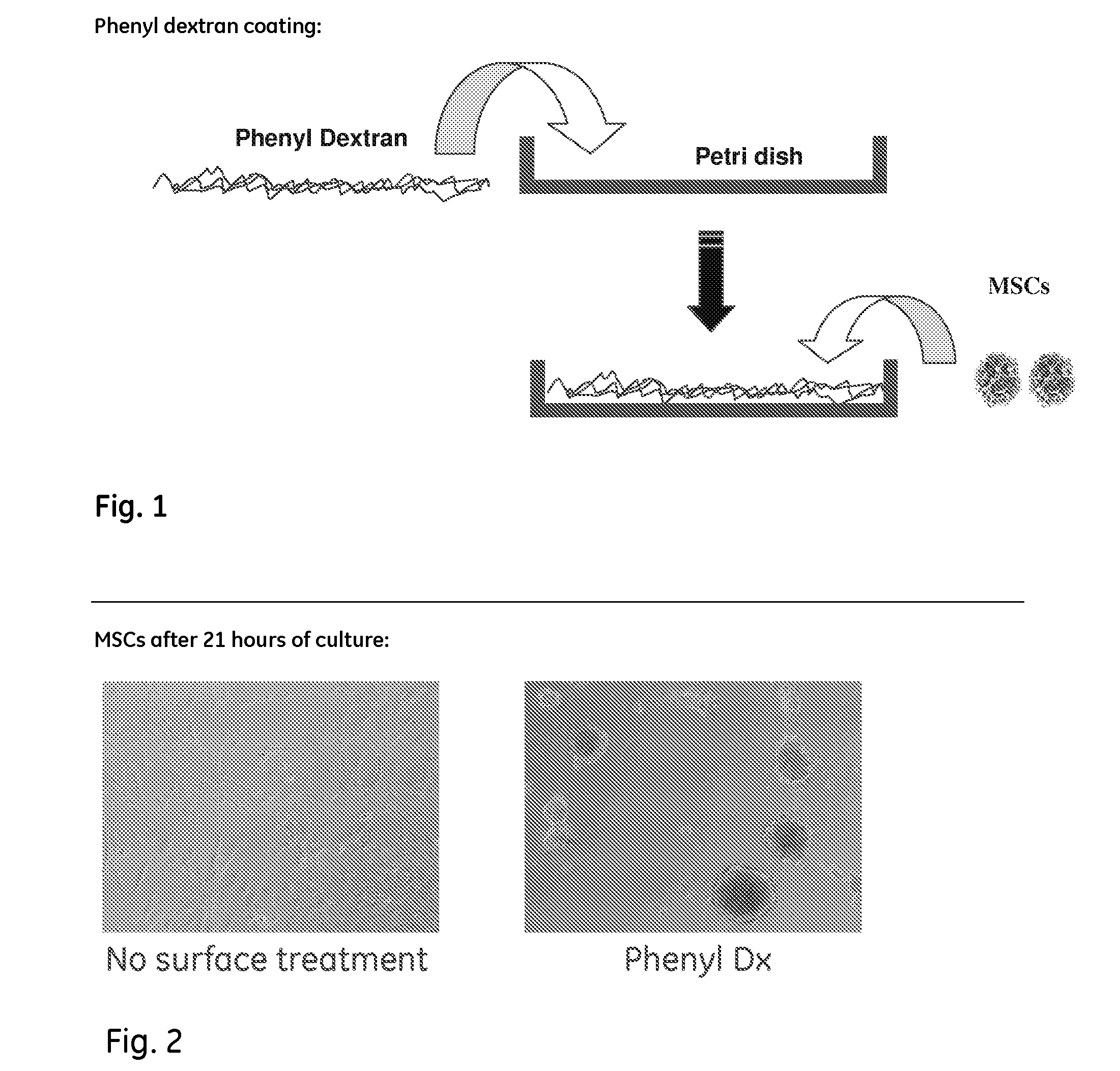 Cell culture/handling product and method for production and use thereof