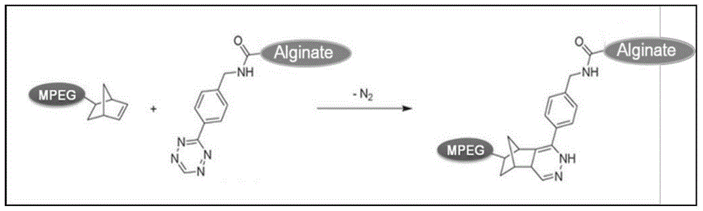 PEG (polyethylene glycol) in-situ covalent grafted alginate microcapsule as well as preparation and application thereof