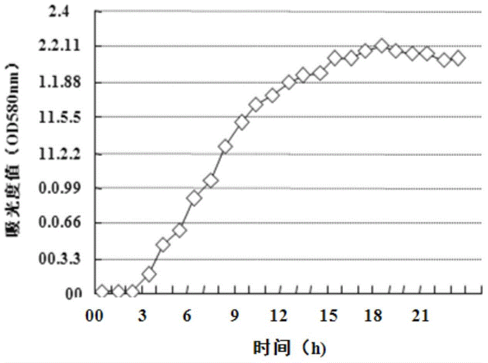 Preparation method and application of enteric bacilli Z0206 enriched-selenium polysaccharide