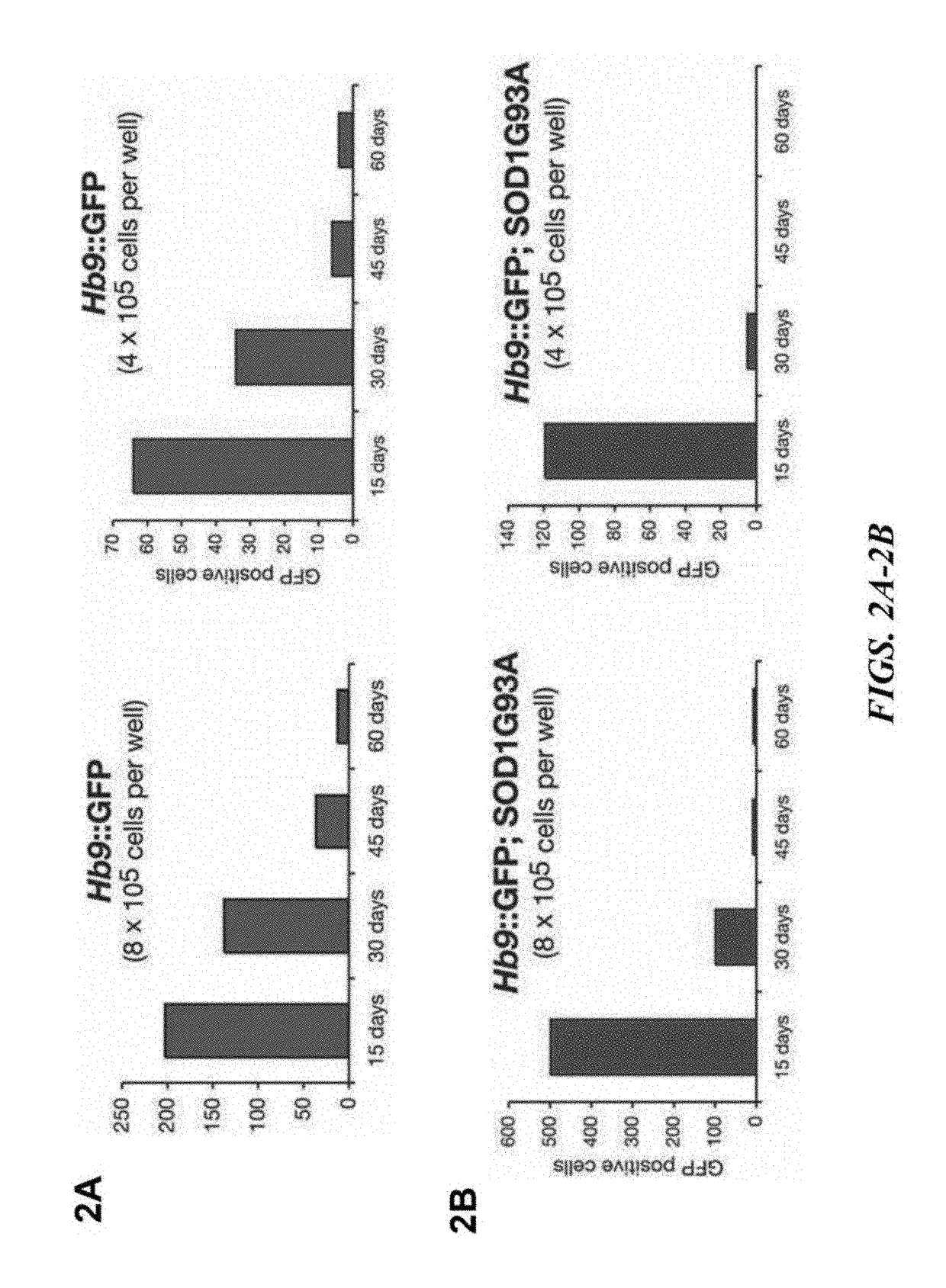 Neurodegenerative diseases and methods of modeling