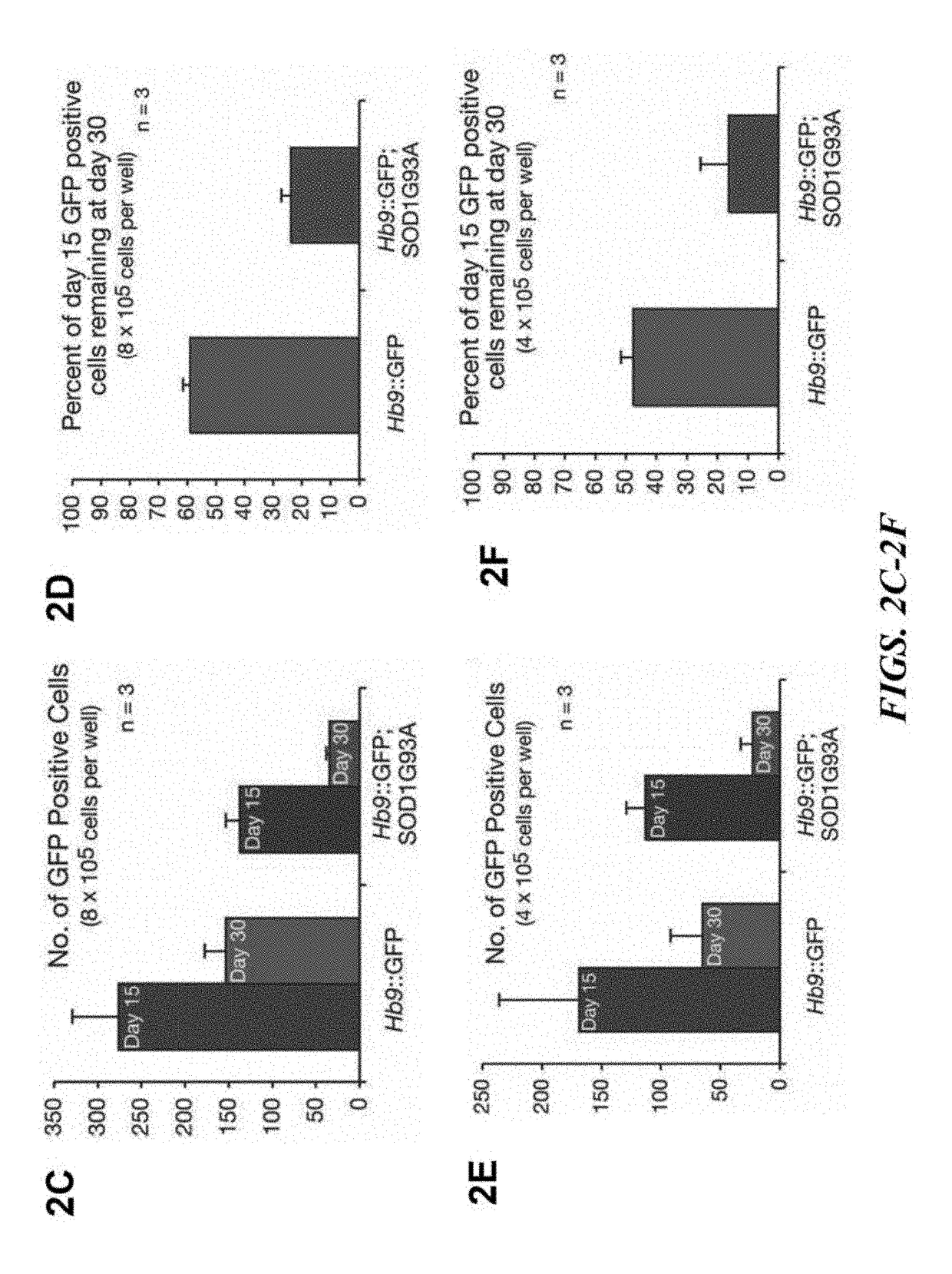 Neurodegenerative diseases and methods of modeling