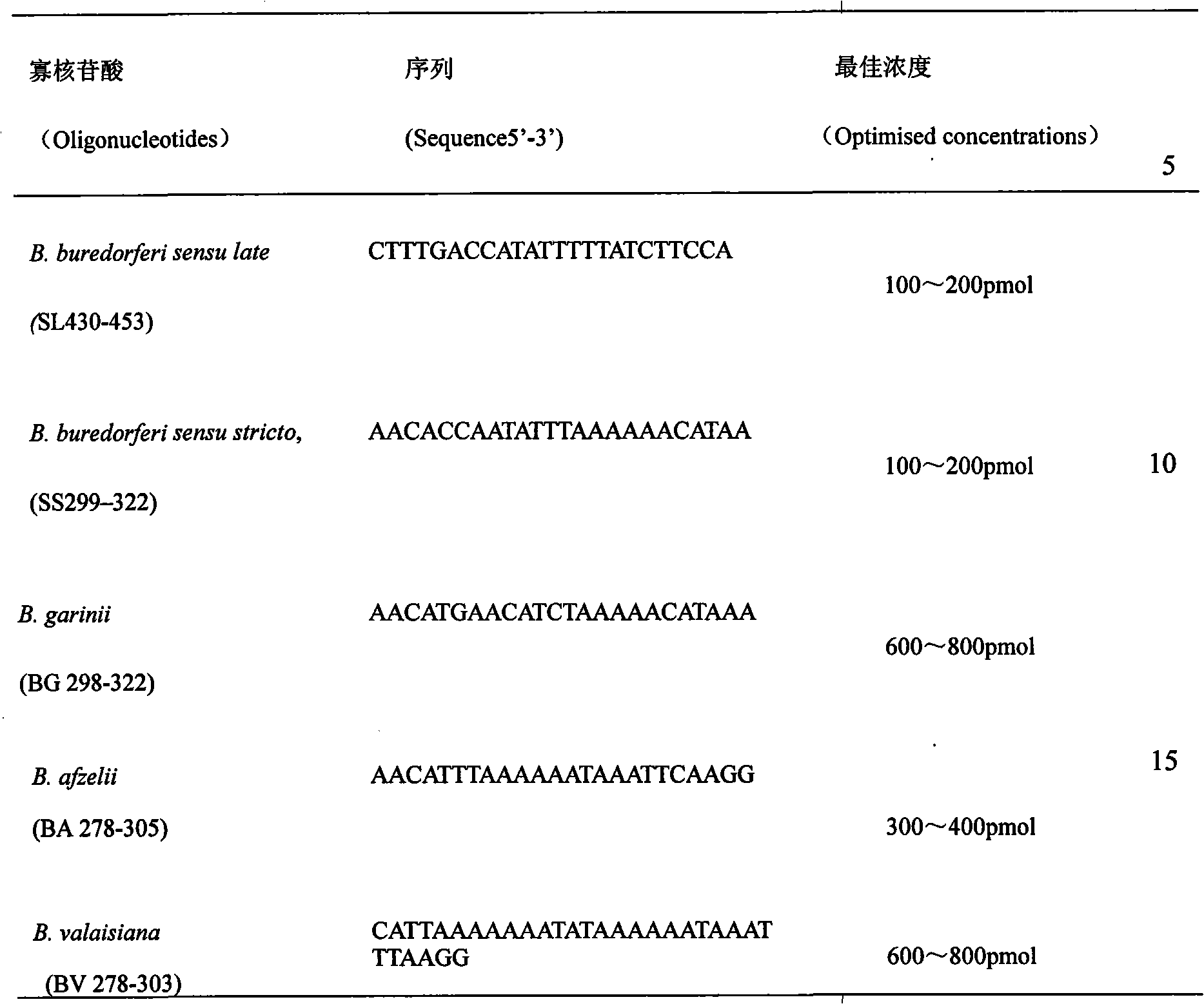 Kit for detecting Lyme bacteria in tick acarina and detection method thereof