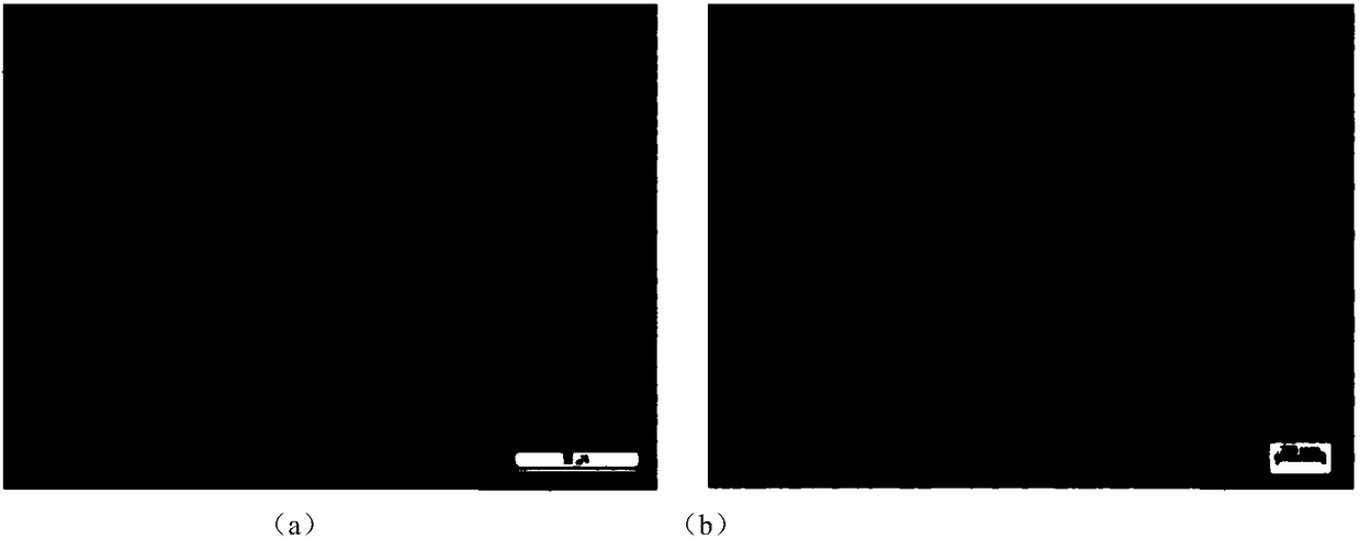 Method for comprehensive judgment of abnormal temperature rise of offshore wind turbine transformer