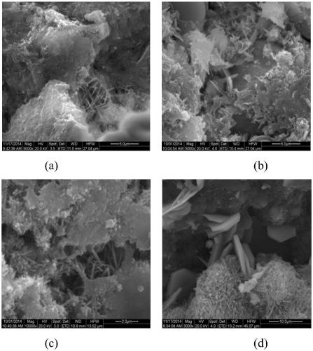 A low-temperature repair material for high-speed rail base concrete in severe cold areas and its application