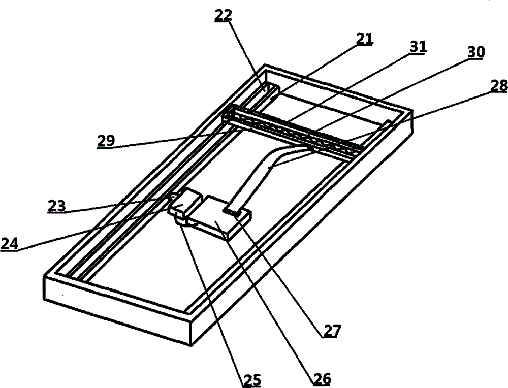 Whole-body scanning phototherapy apparatus