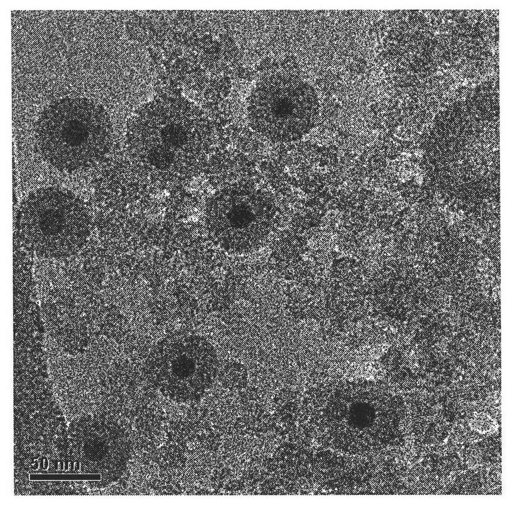 Preparation method of SPIO.SiO2-WGA (Wheat Germ Agglutinin) intestinal wall targeting contrast agent