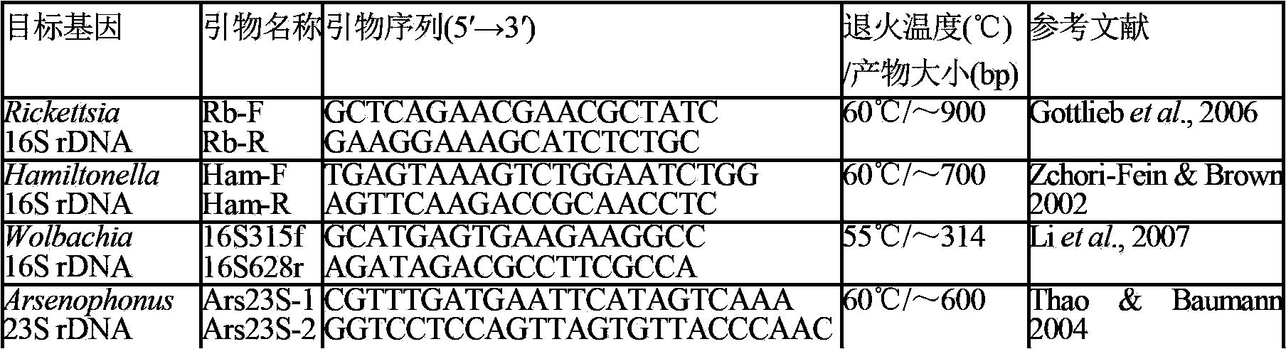 Extraction method of Tobacco whitefly endosymbiont mycetocytes