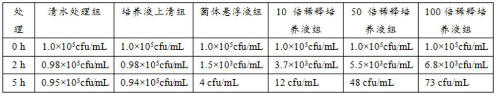 Biocontrol bacterium BC04 as well as microbial inoculum, microbial inoculum preparation method and application thereof