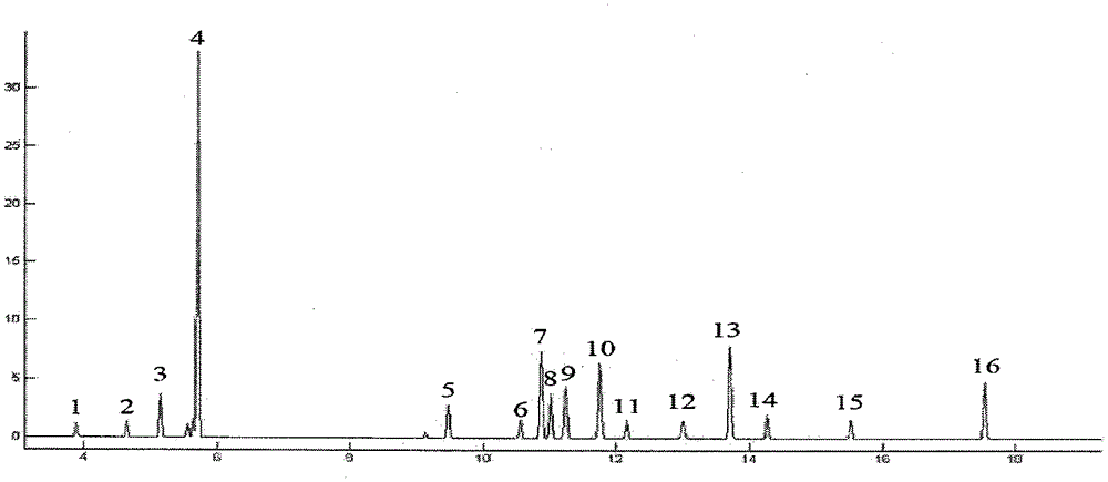 A kind of fingerprint identification method of Caoguo and grass cardamom