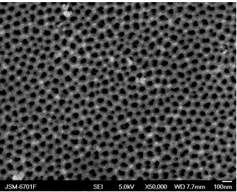 A method for constructing an ion channel on a liquid/liquid interface and a method for detecting the influence of the size of the ion channel on ion transfer