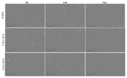 Stem cell repairing method and application