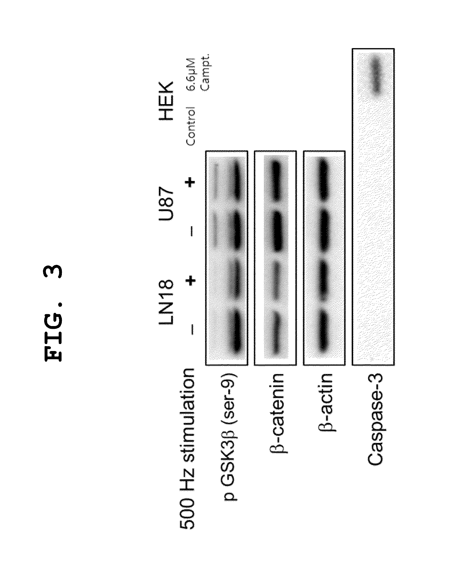 Alternative magnetic stimulating system for preventing or treating brain tumor growth