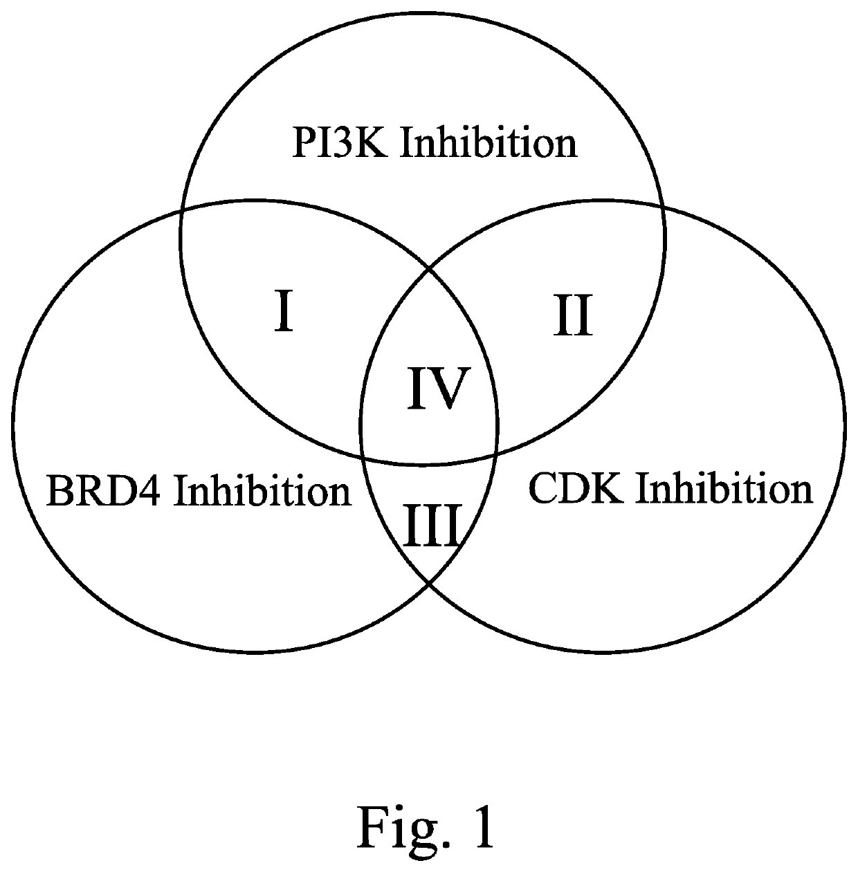Thienopyranones and Furanopyranones as Kinase, Bromodomain, and Checkpoint Inhibitors