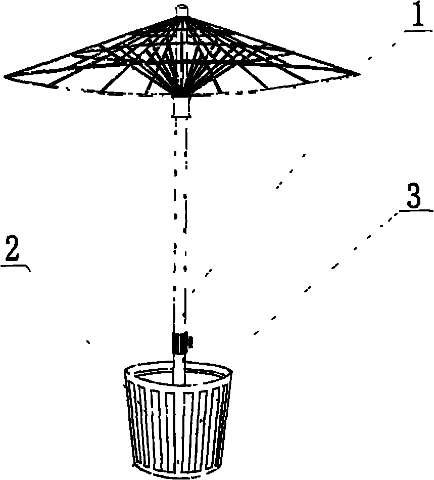 Three-dimensional cultivating frame for vine plants and method for installing same