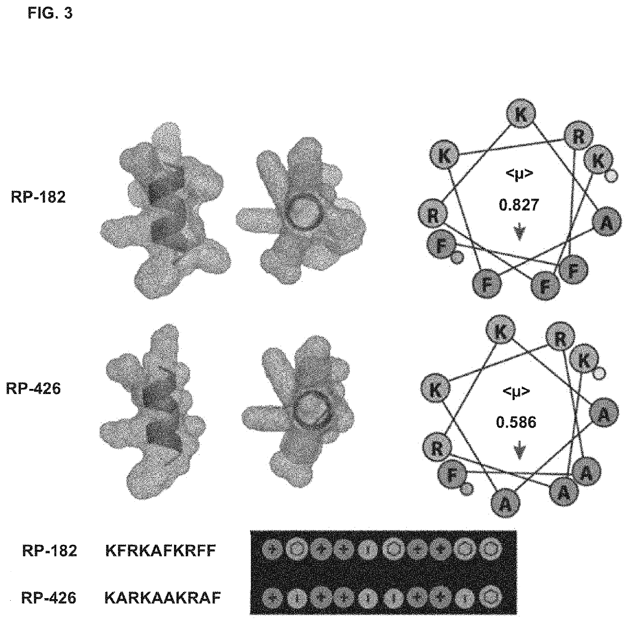 Methods for Modulating Macrophage Activity