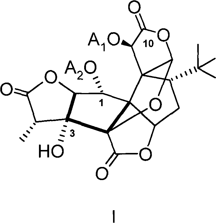 Water-soluble amino-acid ester derivative of ginkgolide B
