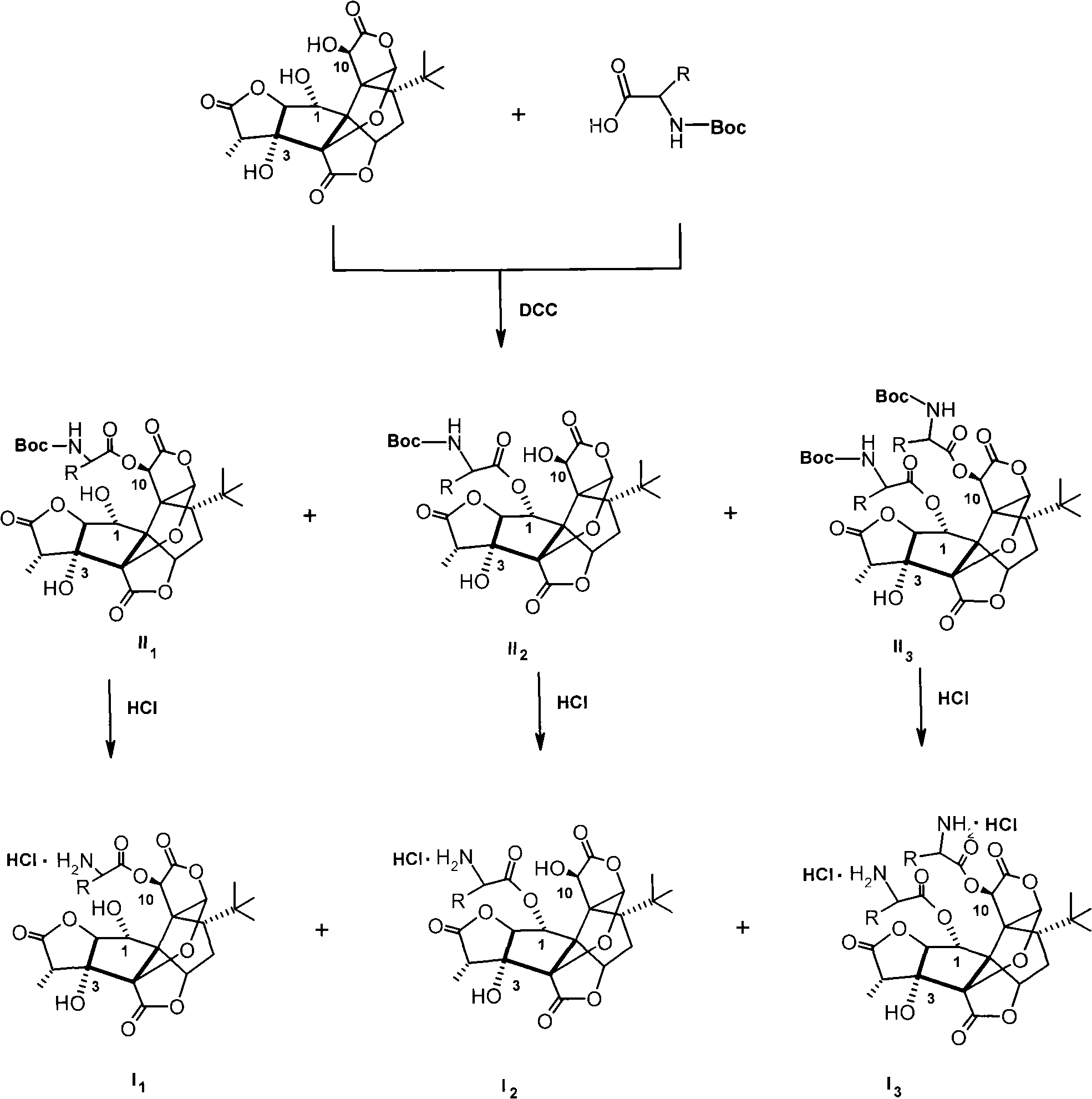 Water-soluble amino-acid ester derivative of ginkgolide B