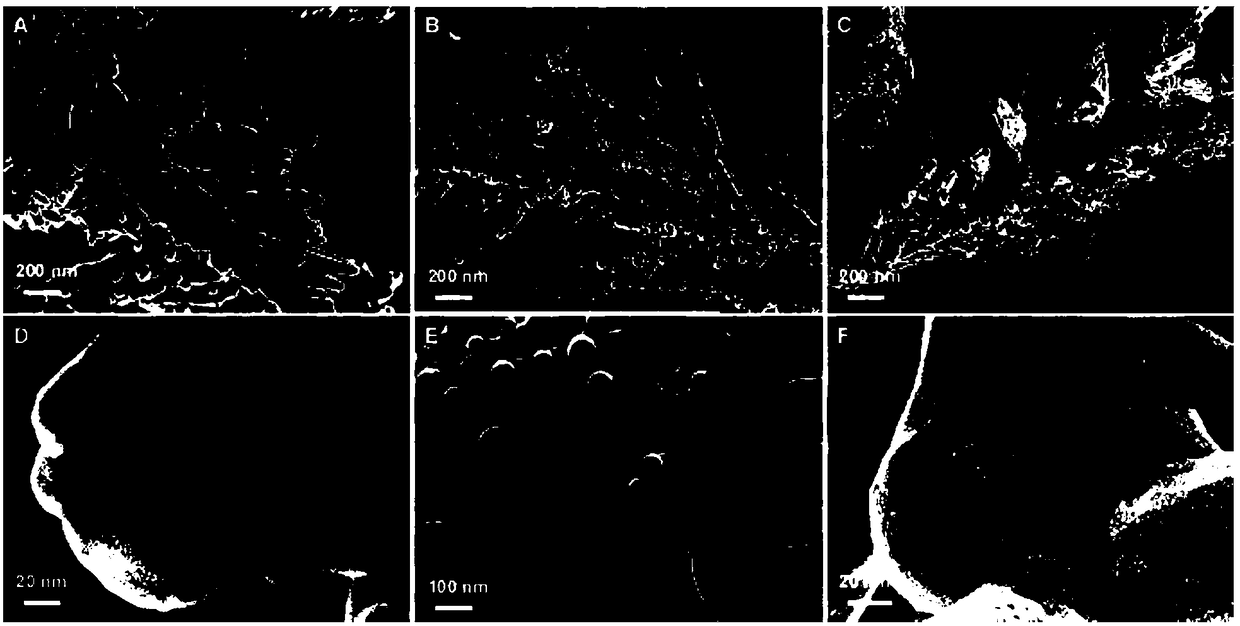 Gold-platinum nanocomposite material and its preparation method and its application in direct methanol fuel cell anode catalyst