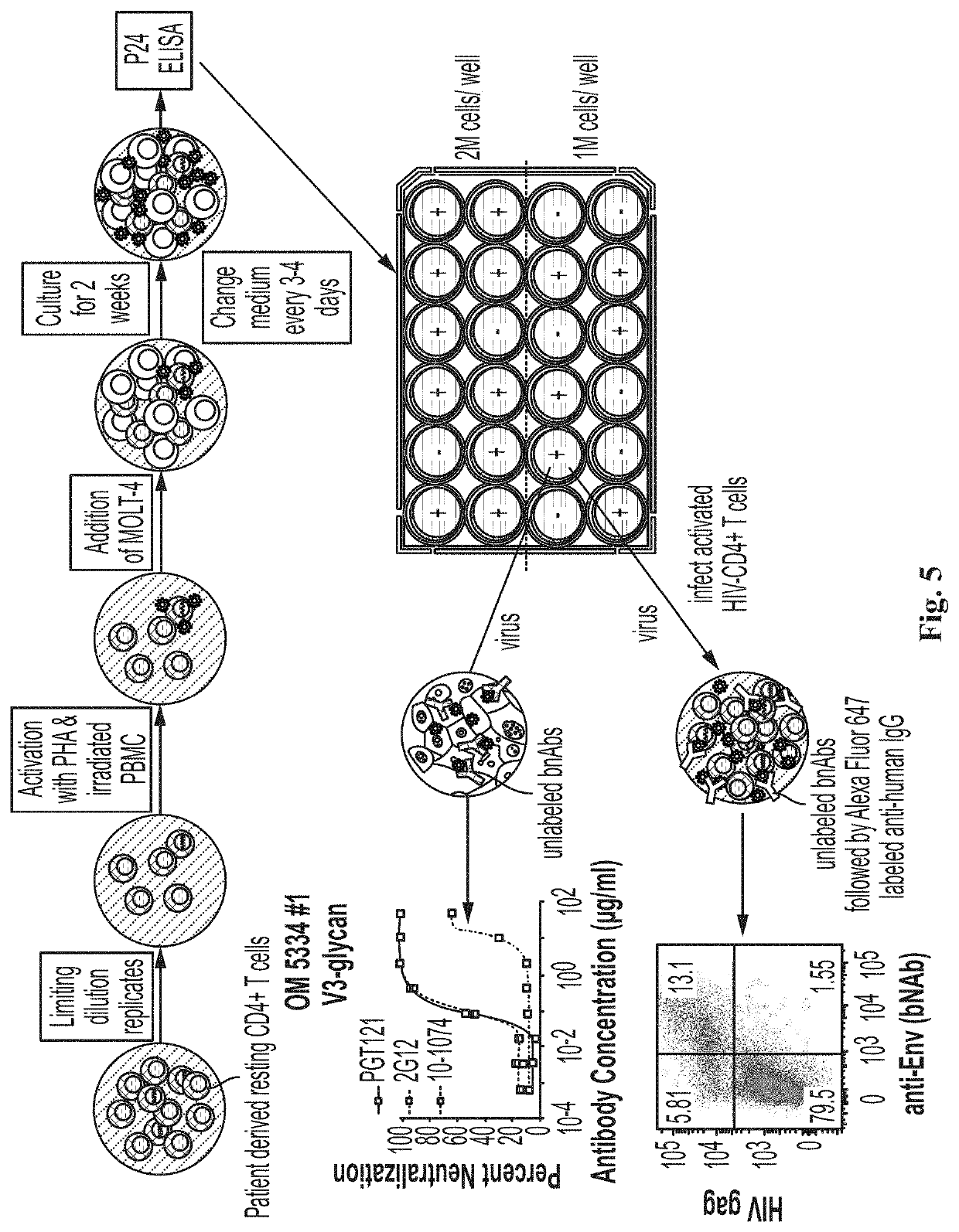 HIV Treatment Compositions And Methods