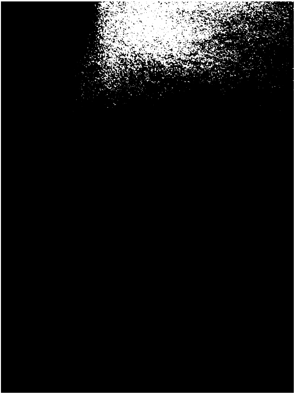 Processing method of radix polygoni multiflori and prepared radix polygoni multiflori