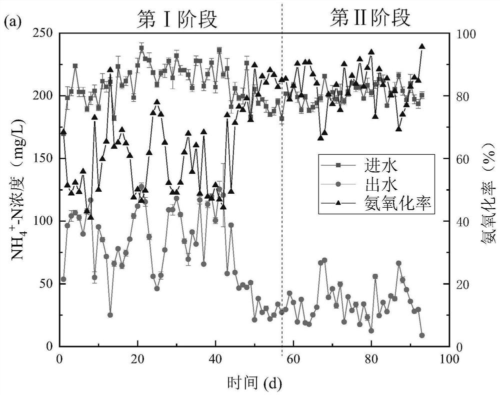 Quick starting method for autotrophic nitrogen removal process of sludge-membrane mixed moving bed bio-membrane reactor