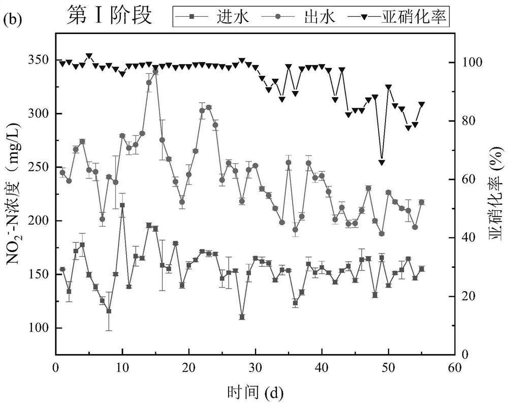 Quick starting method for autotrophic nitrogen removal process of sludge-membrane mixed moving bed bio-membrane reactor