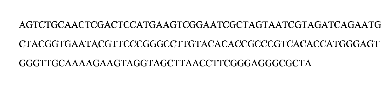 Tobacco leaf extract and cocoa extract composite fermentation perfume preparation method and applications of tobacco leaf extract and cocoa extract composite fermentation perfume in recombinant tobacco leaf