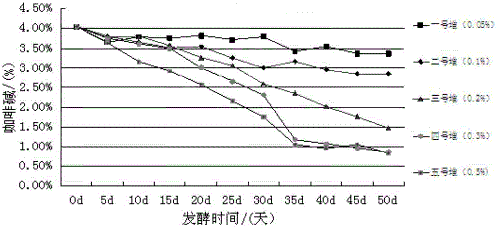 Processing method of ripe Puer tea with low caffeine content