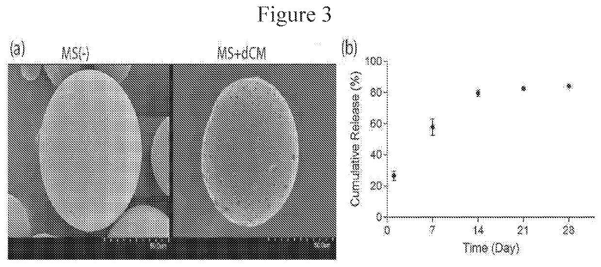 Microspheres Containing Decellularized Donor Tissue and Their Use in Fabricating Polymeric Structures
