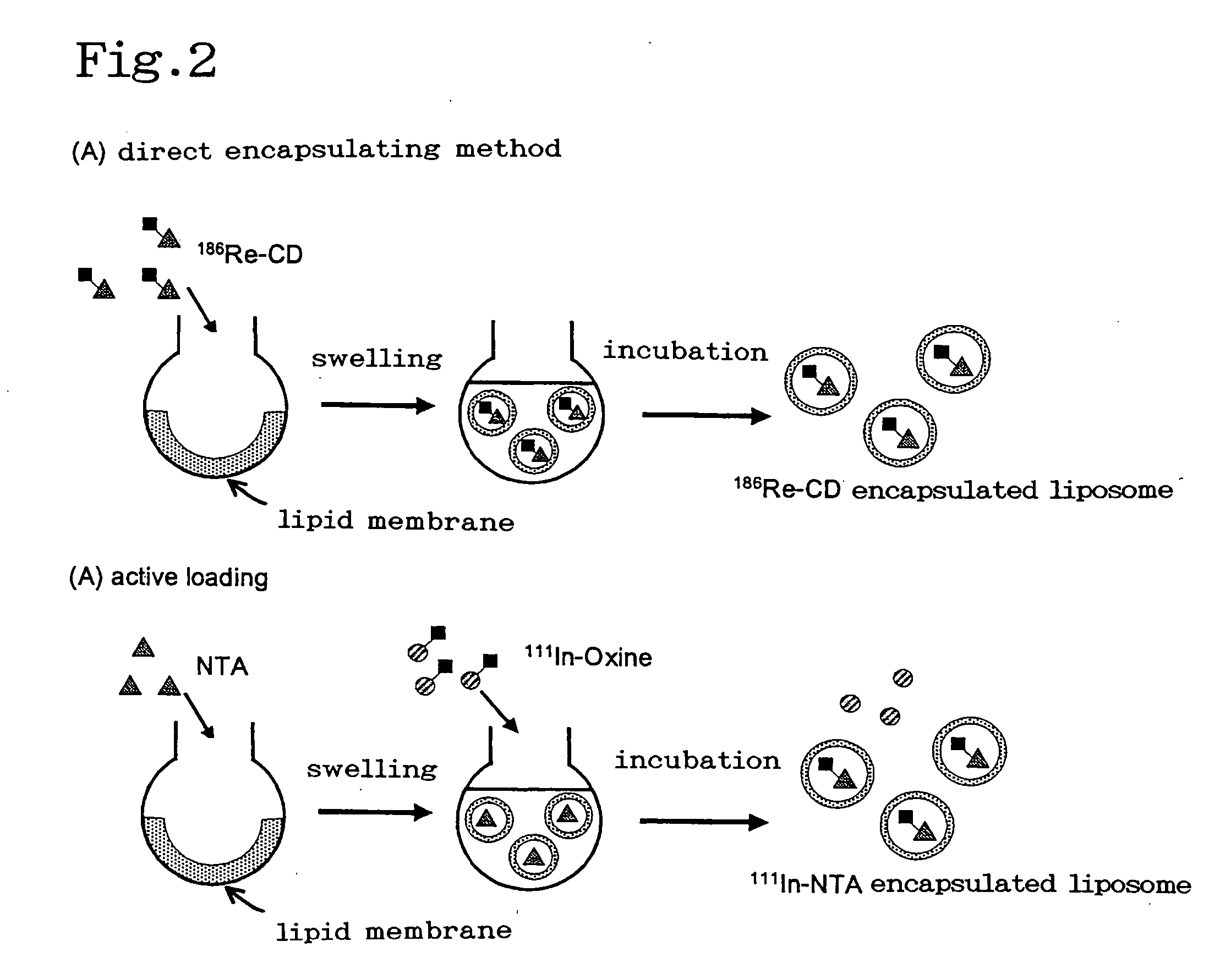 Method of encapsulating metal complex within liposomes
