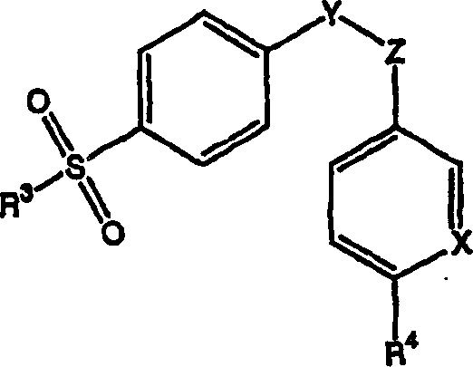 Skin-permeable selective cyclooxygenase-2 inhibitor composition