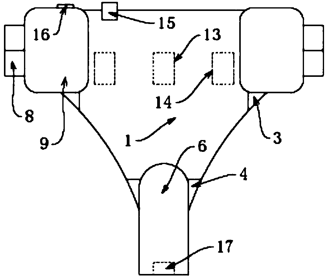 Prostate therapeutic apparatus