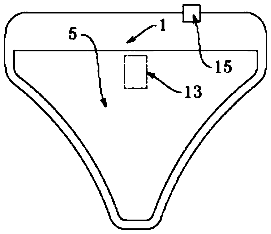 Prostate therapeutic apparatus