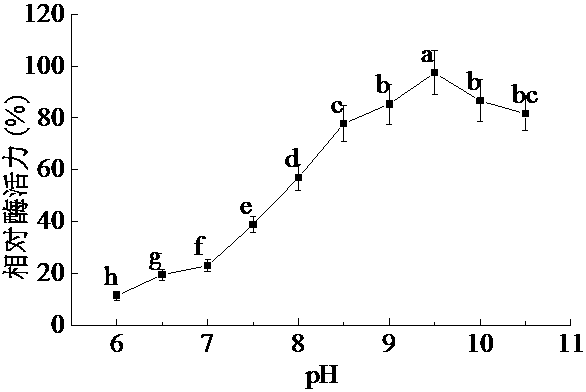 Low molecular weight fucoidan and application thereof in preparing cosmetics