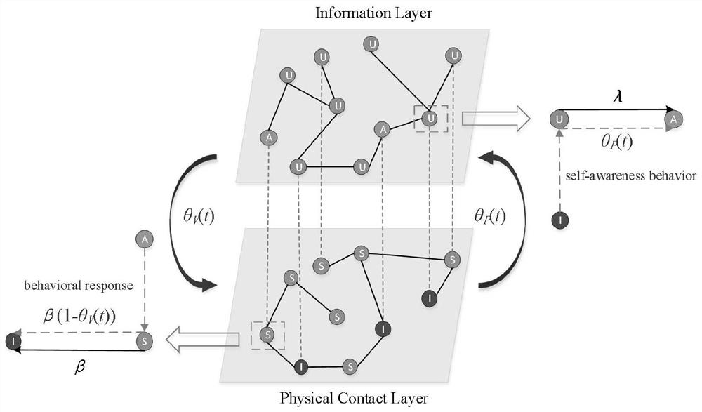 Information-epidemic disease co-evolution analysis method under action of dynamic multi-source information and behavior response