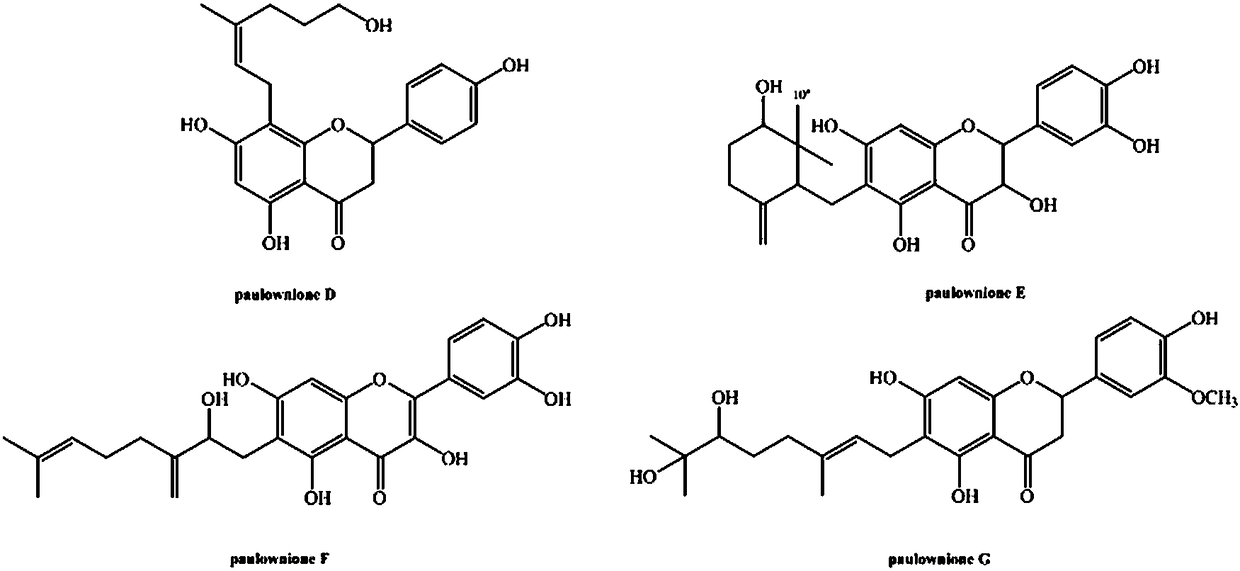 Method for separating isopentene flavonoid compounds from flos paulowniae and application